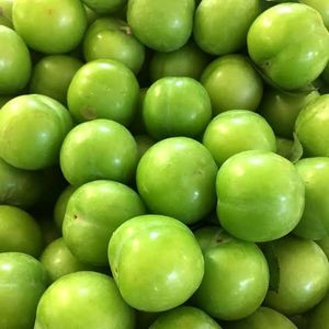 Erik Eleme Makinaları