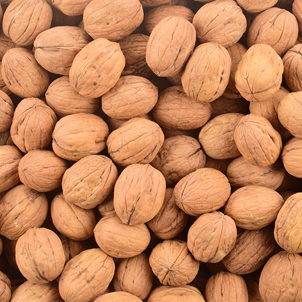 Ceviz Boylama Makinaları