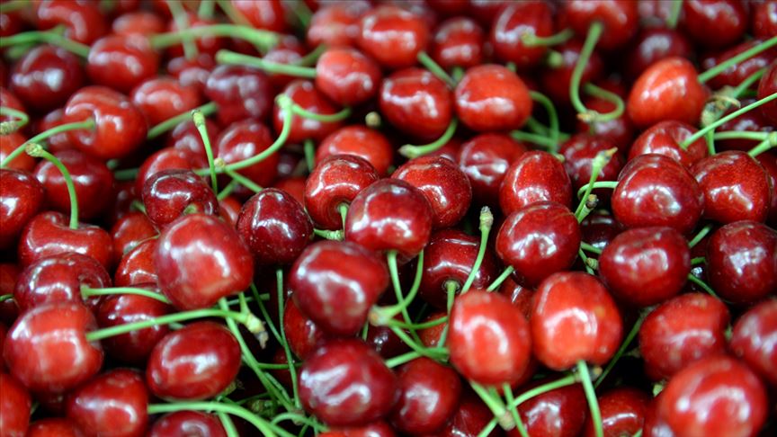 Kiraz Boylama Makinaları